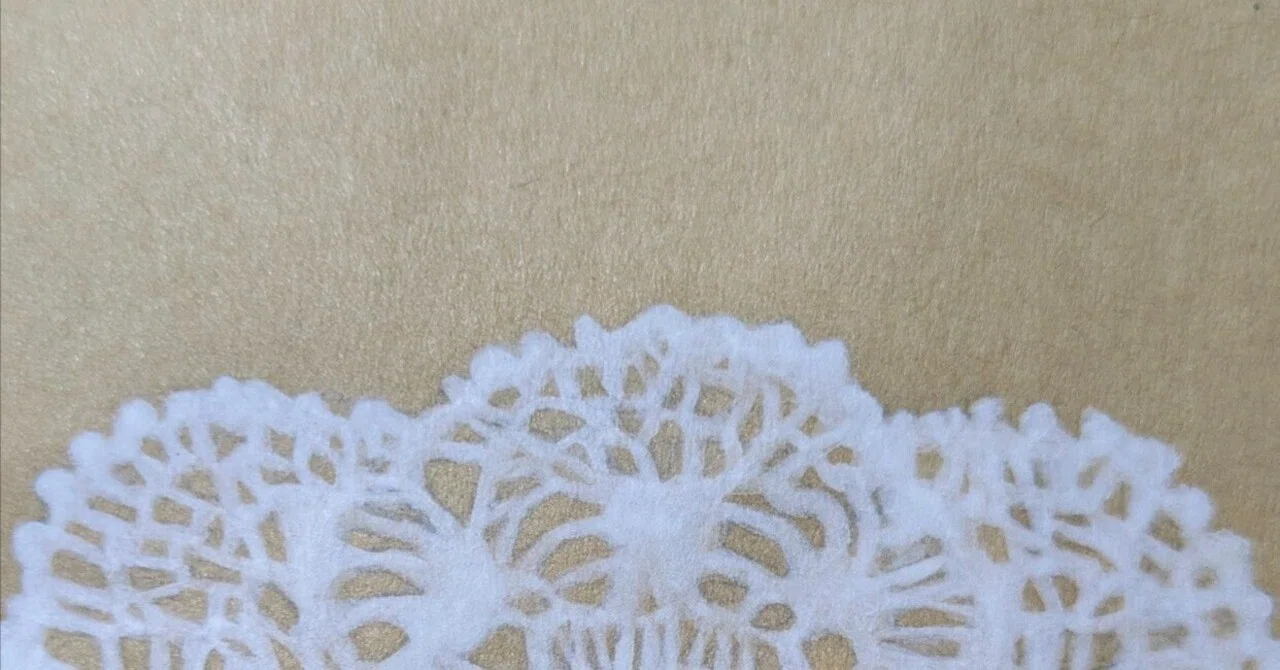レース刺繍の描写｜mananoya576