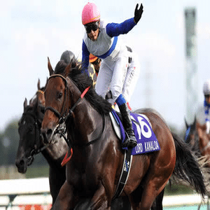 スプリンターズステークス2025｜スプリント新時代に乗り遅れるな