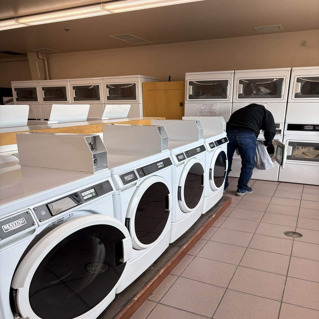 コインランドリーとバスの使い方】カナダへ女一人旅｜ゆーきゃん