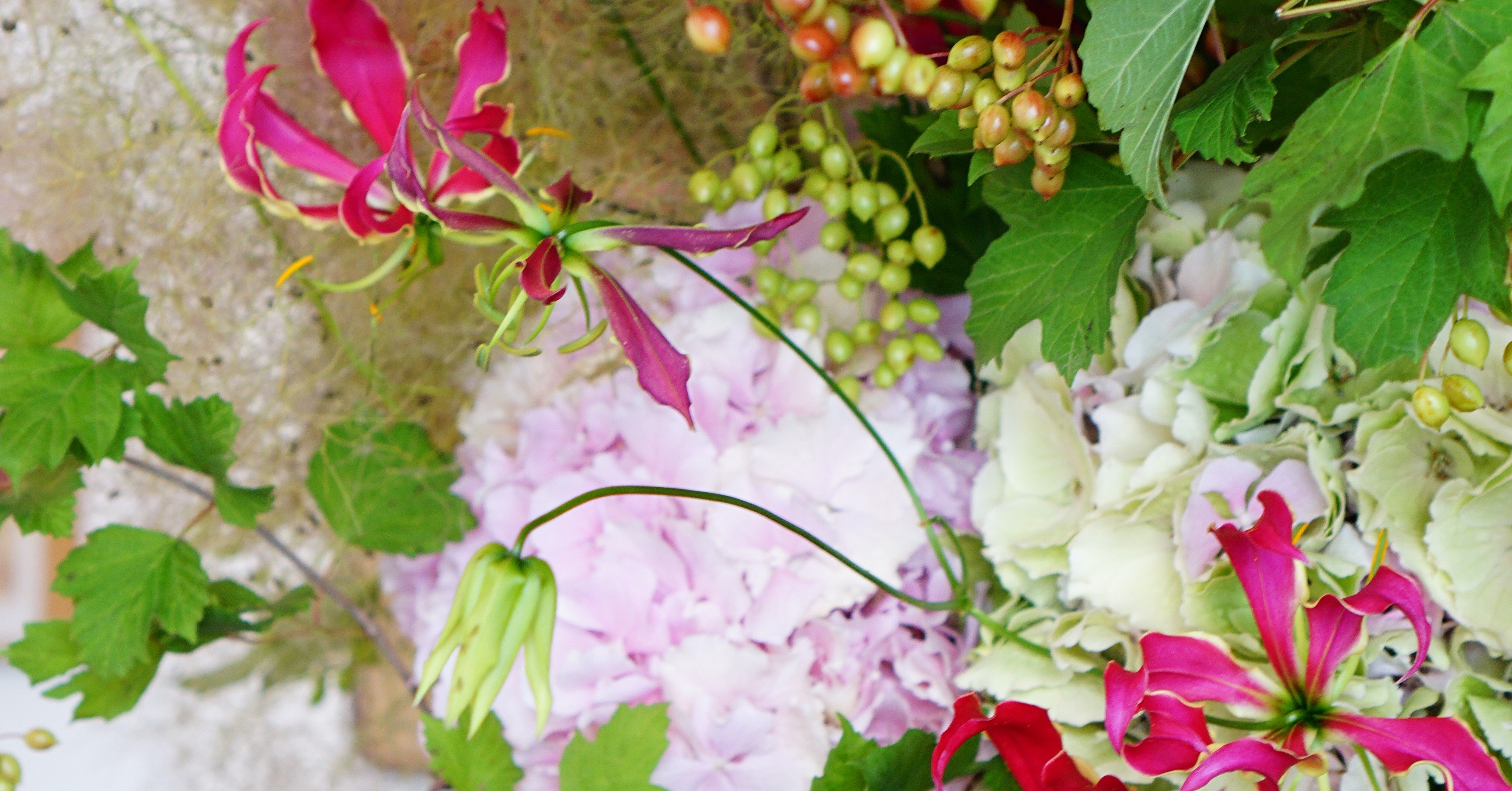 人生を変えたパリの花との出会い 守屋 百合香 Yurika Moriya Note 人生を変えたパリの花との出会い 守屋 百合香 Yurika Moriya Note