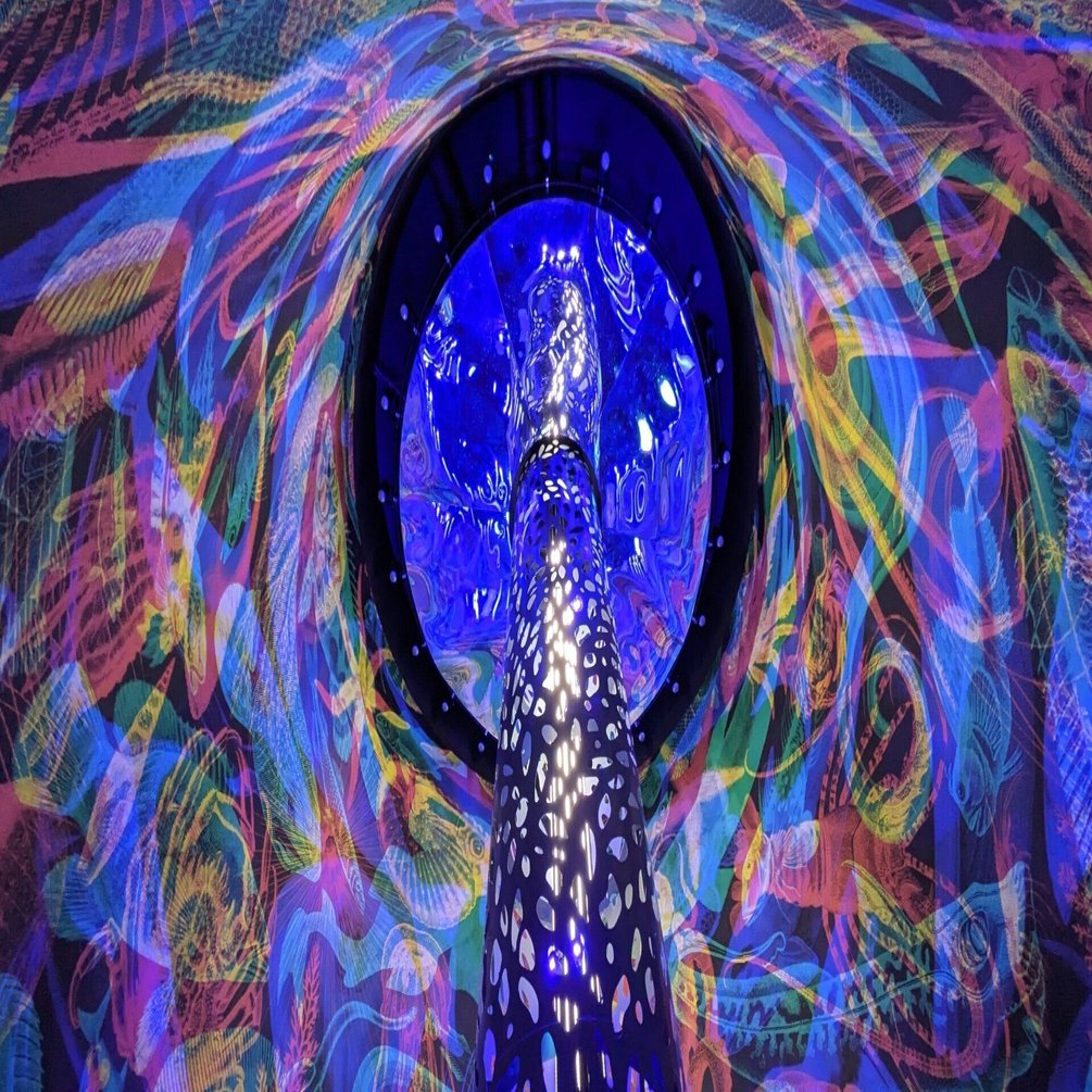 大阪・関西万博】モナコパビリオンは別館まで見逃せない！｜朱月-akatsuki-