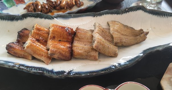 M1ツアー　静岡　2/19 M1ツアー 静岡 2/19