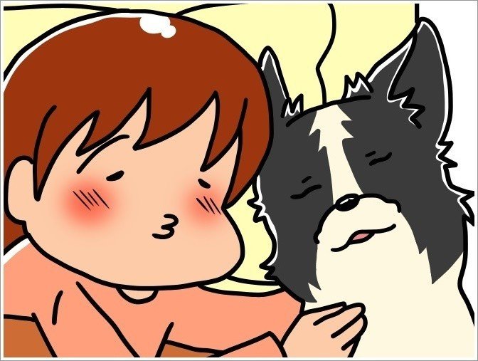 とかく犬と一緒に寝るのは癒されるし面白いしかわいい 瀧沢かいるー Note