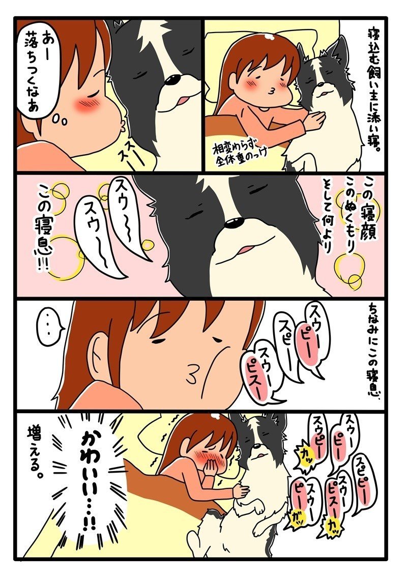 とかく犬と一緒に寝るのは癒されるし面白いしかわいい 瀧沢かいるー Note