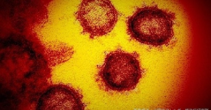 新型コロナウイルスの脅威