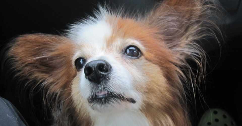 抗てんかん薬を飲む前に出来る事 Weave Note