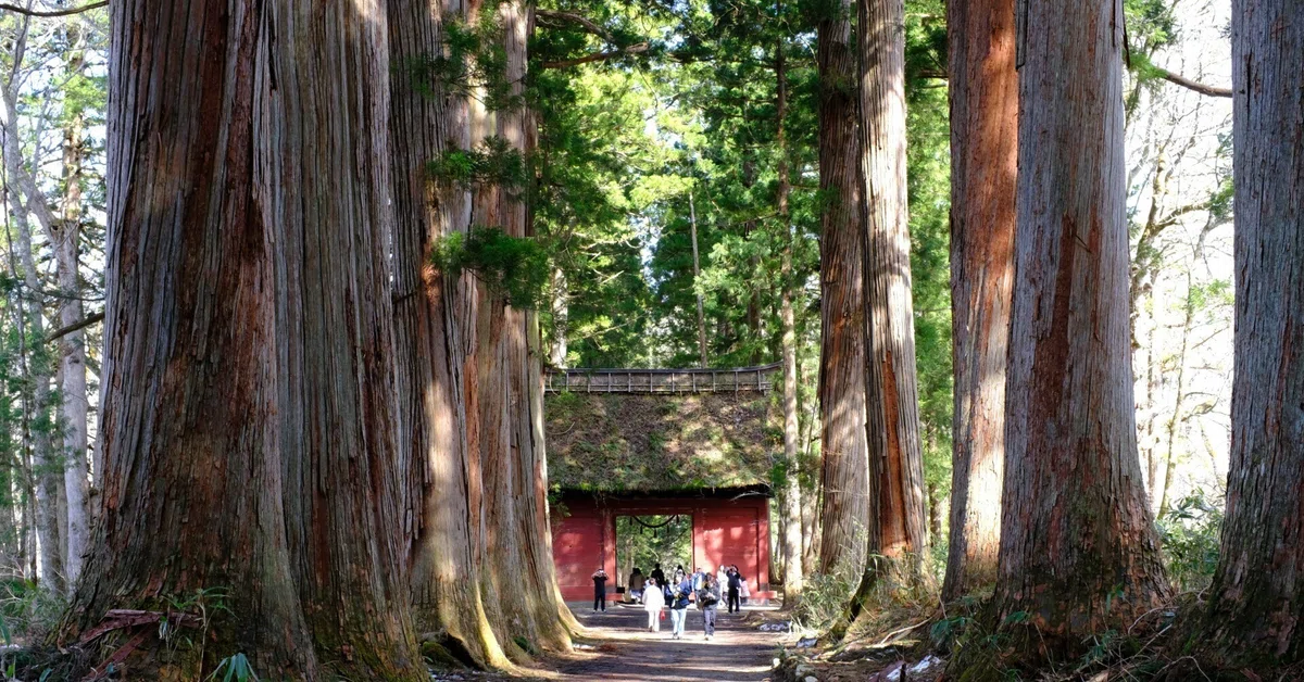 【完全保存版】戸隠神社五社めぐり完全ガイド|一日で回るルート・アクセス・所要時間・おすすめ蕎麦屋まで徹底解説|Hanako(はなぴき ...