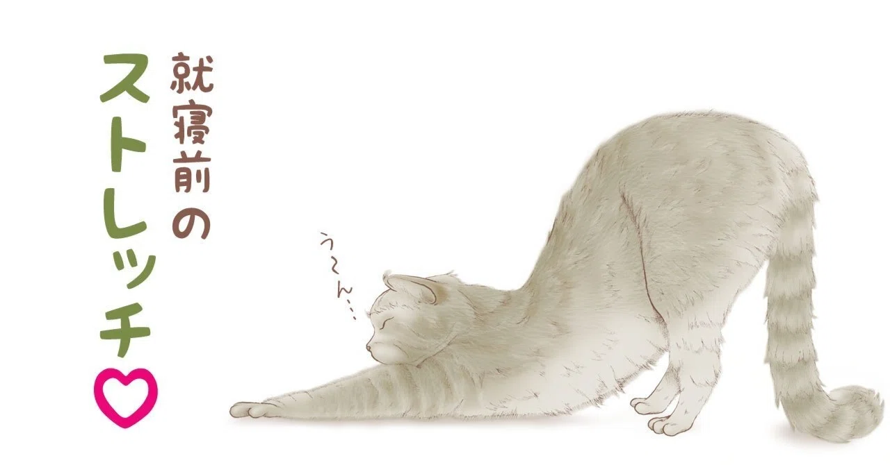 The Battle with Sciatica! Part 4｜hideto