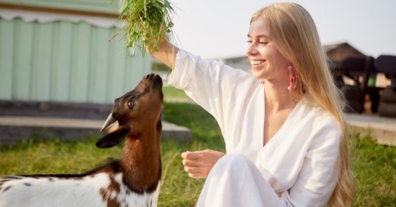 【2016 新品 マックス・マーラ】ワンピース 8万以上 36