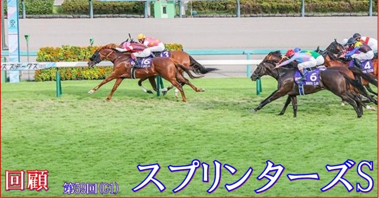 スプリンターズS（GⅠ）回顧】推奨馬ママコチャ6着同着～何処へ??｜Haya