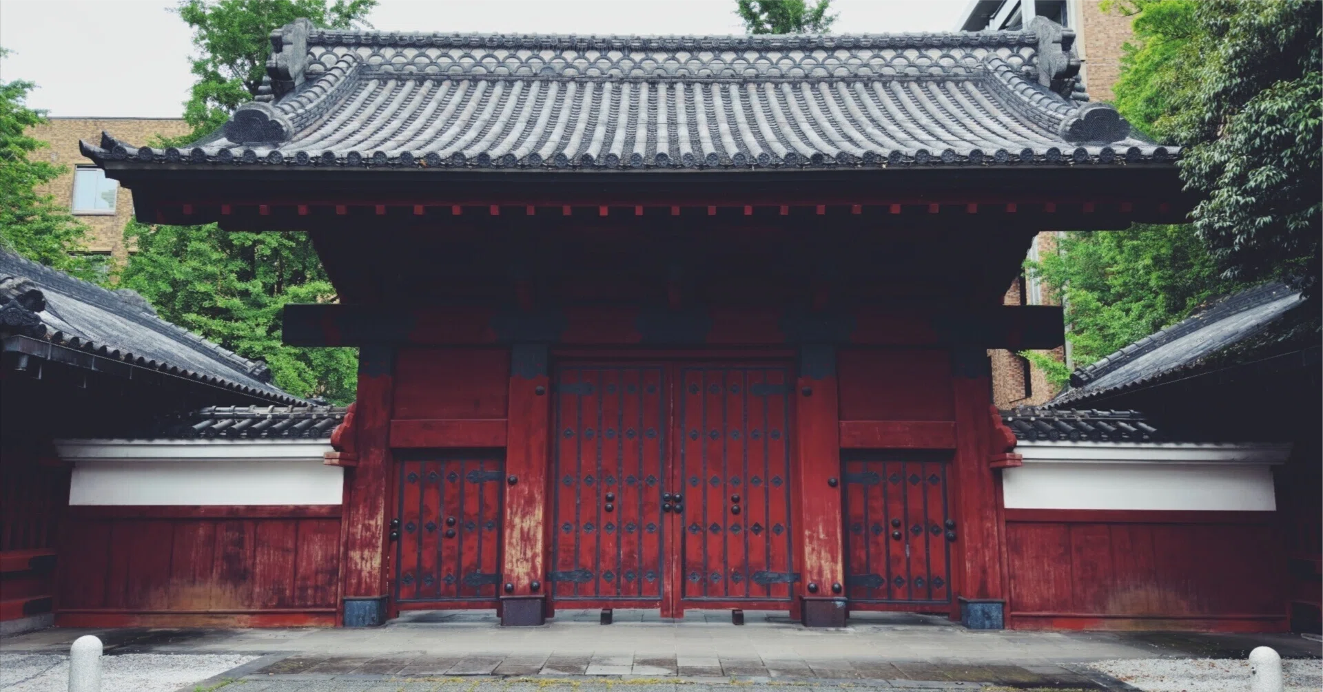 東京大学理科Ⅲ類合格者の出身高校の年次推移をグラフ化してみた｜Kettu