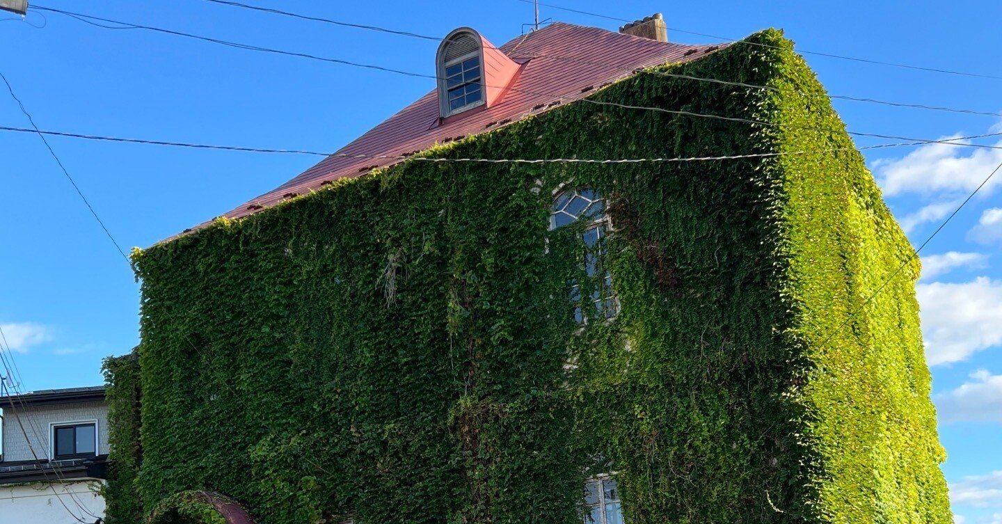 蔦の絡まる、あの建物の版画を購入した｜Nob Koi