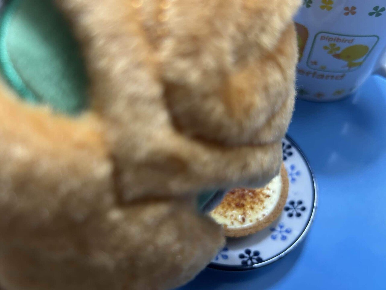 ツブコン　ダークネスヒールズ　台本　ハンカチ　サバト 5056_1_expand.jpg