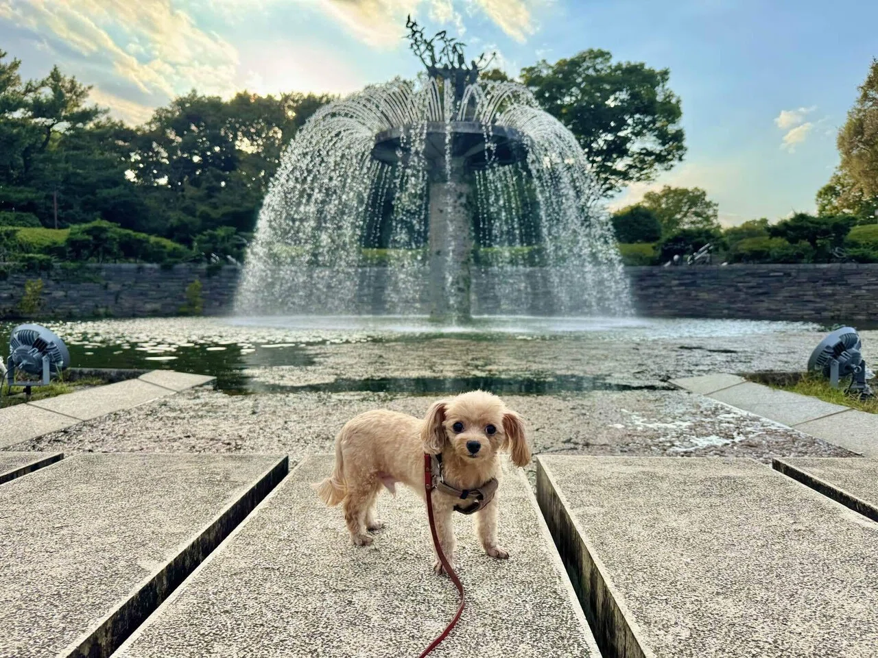 ペット 可 公園