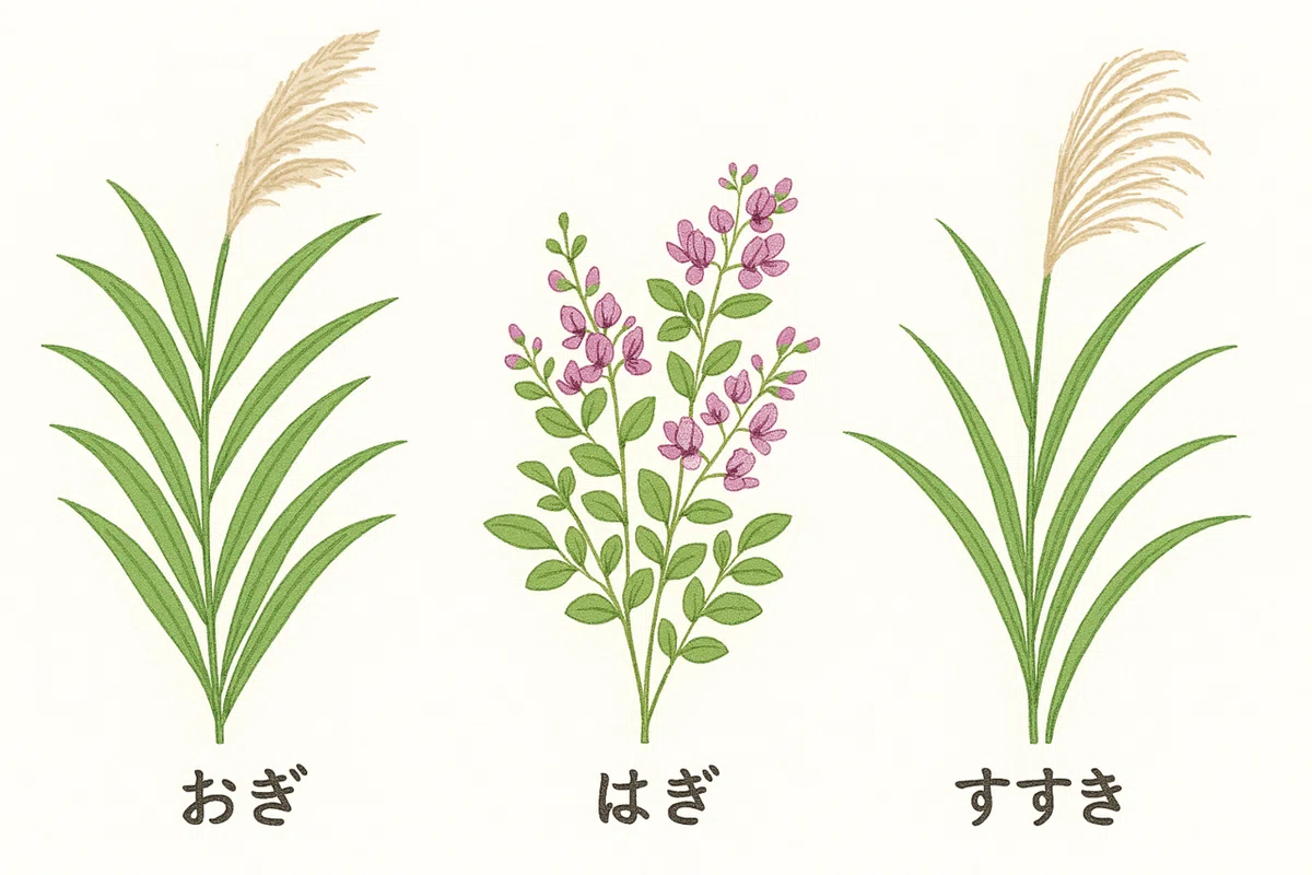 俳句 【荻(おぎ)と萩(はぎ)と芒(すすき)の違い】|猫様とごはん