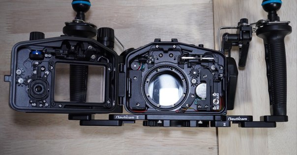 7 水中カメラを選ぶときに②センサーサイズの話｜石野昇太