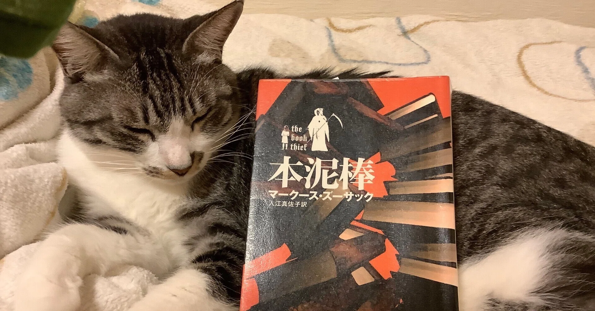 読書感想文『本泥棒』マークース・ズーサック｜ふう