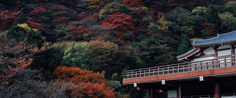 秋の京都へ ~善峯寺~