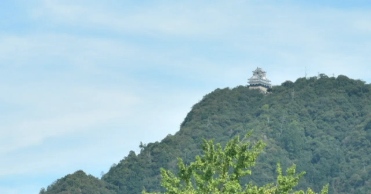 【街角snap #1】 岐阜県 岐阜市｜ゆい｜出張フォトグラファー