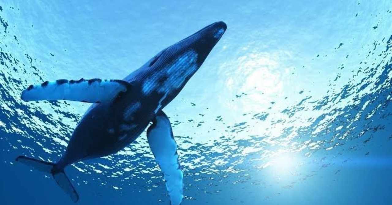 ダークソウル3 の新着タグ記事一覧 Note つくる つながる とどける