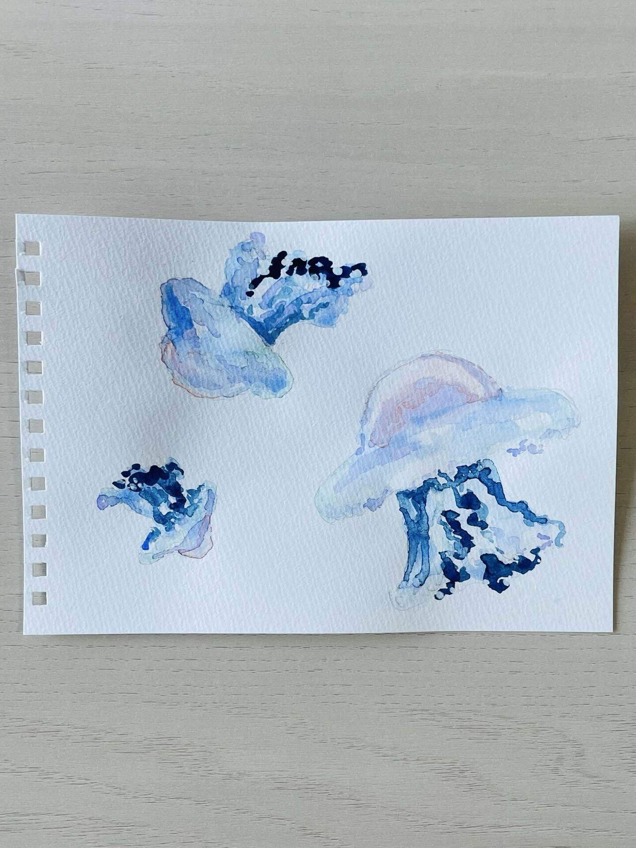 レイチェルオムレットさん クラゲの蓋物 71L8-1UGPSL._AC_UF894,