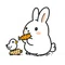うさぎ