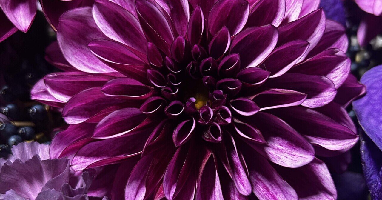 戸川純　演劇関連 プログラムちらし　羅生門・雨かしら・わらの心臓・マリィヴォロン 1998 04 03 12 戸川純 劇場中継 雨かしら（抜粋版） - YouTube