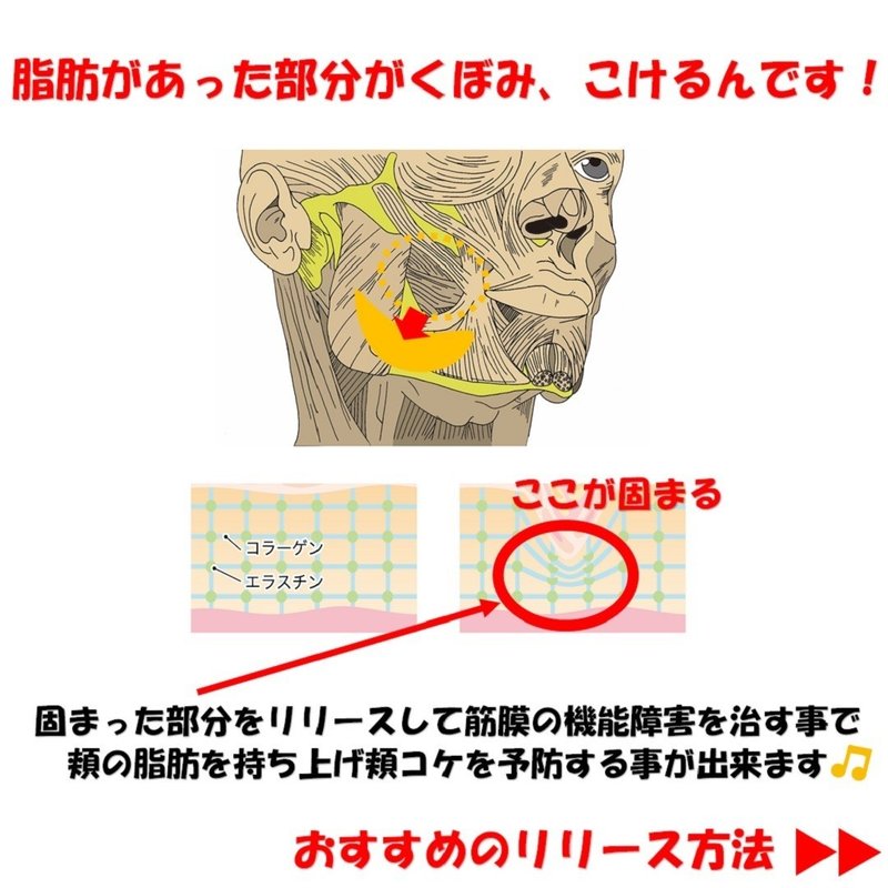 頬こけの原因と治すためのリリース矯正3選 Revisionginza Note 頬こけの原因と治すためのリリース矯正3選 Revisionginza Note