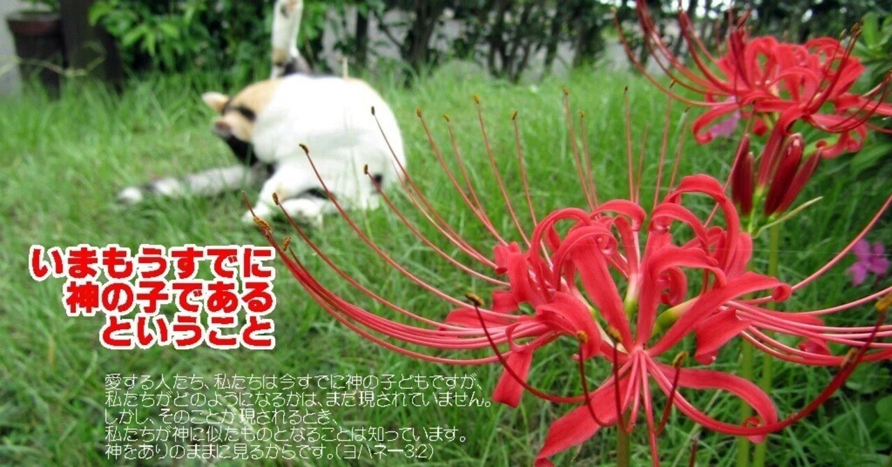 いまもうすでに神の子であるということ｜たかぱん