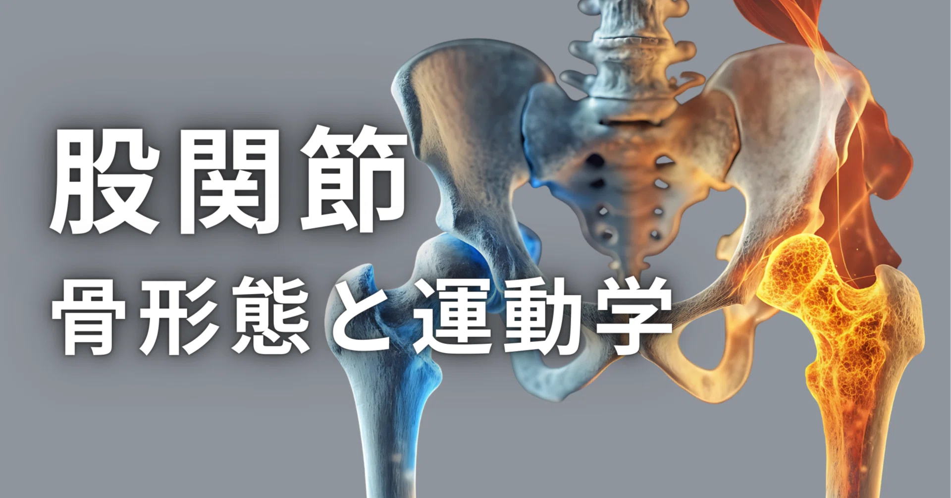 図説股関節の臨床 股関節痛の理学療法①2023｜理学療法士による臨床のためのnote