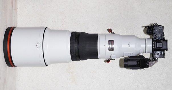 コスパ最強望遠レンズ】Canon EF75-300mm F4-5.6 III レビュー