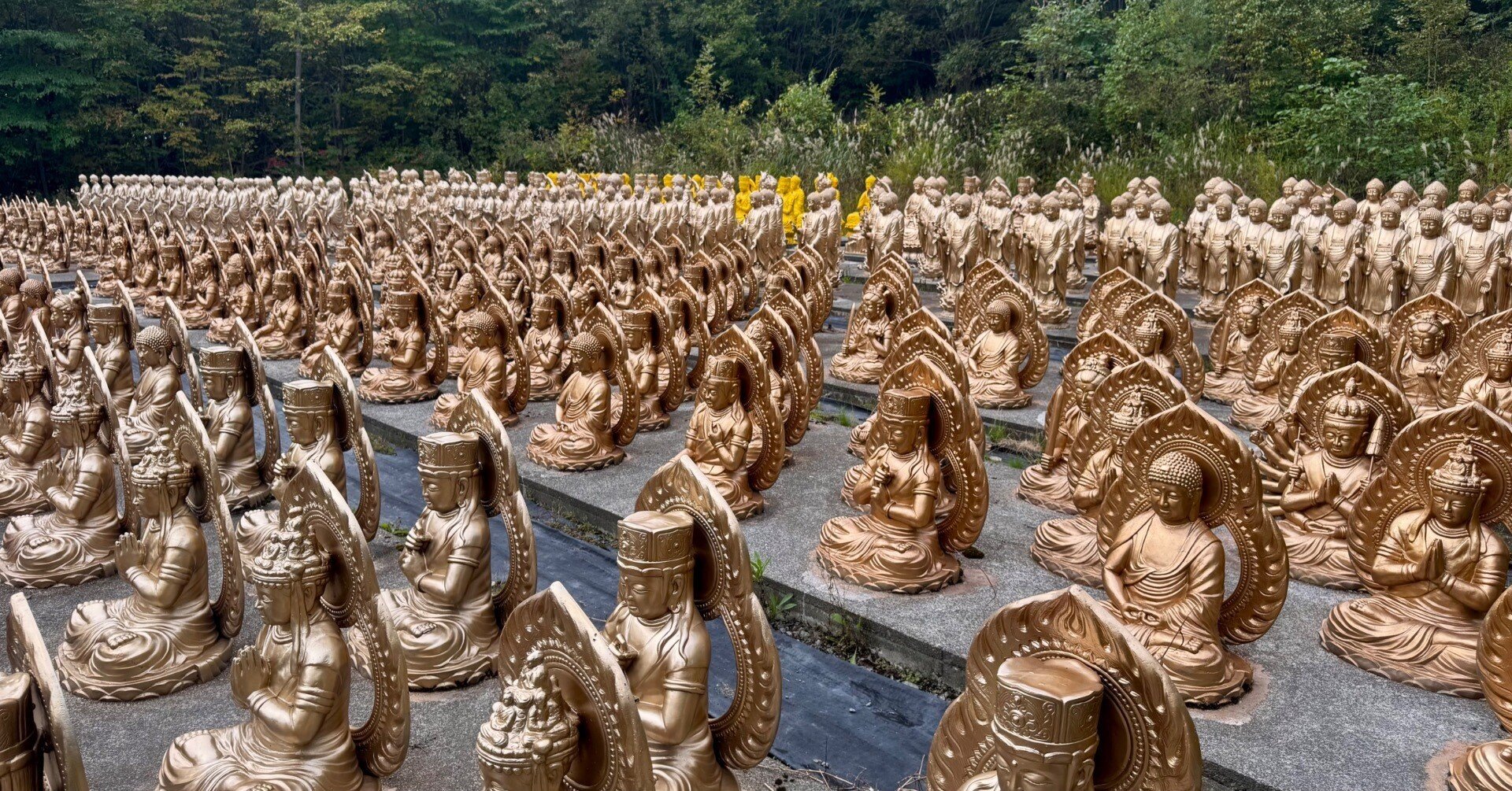 探偵file.No.019 山中に眠る謎の仏像群を探訪する｜八千代探偵事務所