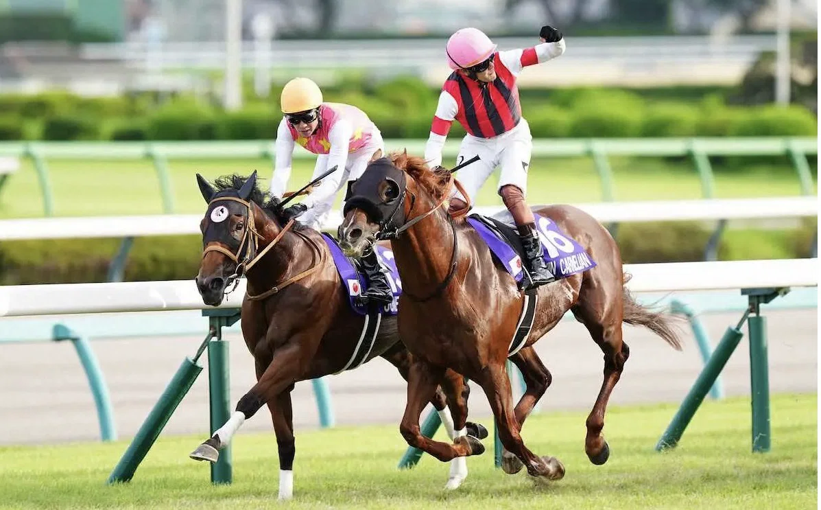 激レア】【競馬】三浦皇成騎手のサイン入り！ジョッキーパンツ 【公式