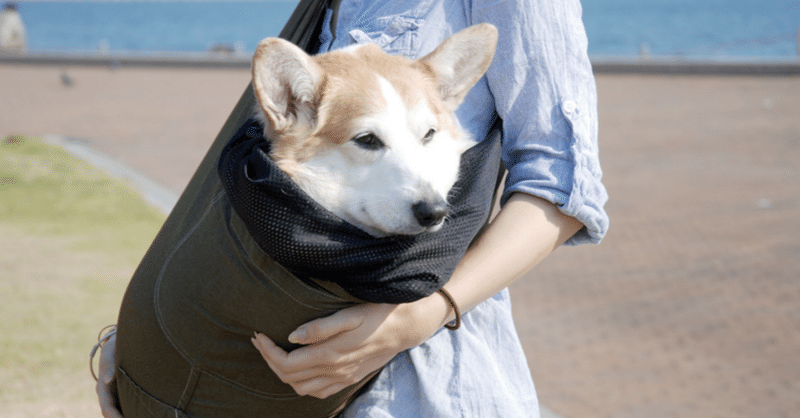 ドッグ スリング フタ付き 犬猫6キロから12キロまで ツイルカラー