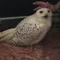 ともろぐ