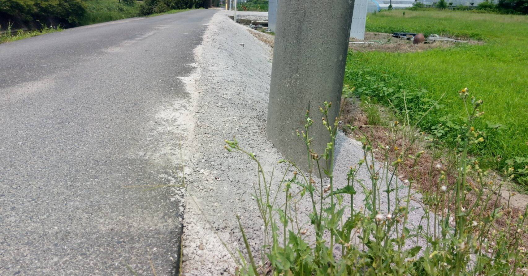 戦の傾き護法 戦の傾き護法 カード検索 | Z/X - Zillions of enemy X 戦の傾き護法 戦の傾き護法 カード検索 | Z/X - Zillions of enemy X