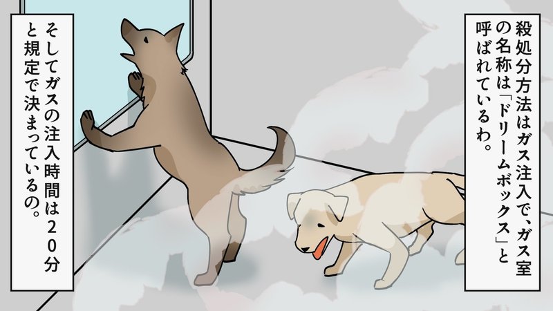 動物愛護センター職員の苦悩 メシのタネ Note 動物愛護センター職員の苦悩 メシのタネ Note