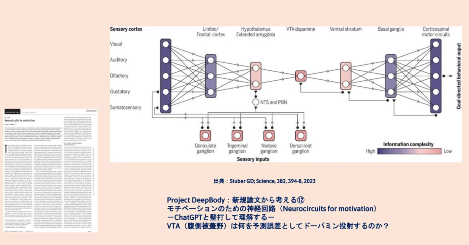 Project DeepBody：新規論文から考える⑫ モチベーションのための神経