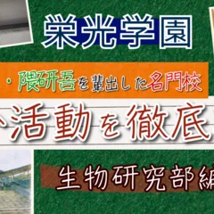 夢みる近代小説と異言語経験Ⅱ ―泉鏡花とハウプトマン―｜べレ出版 編集部