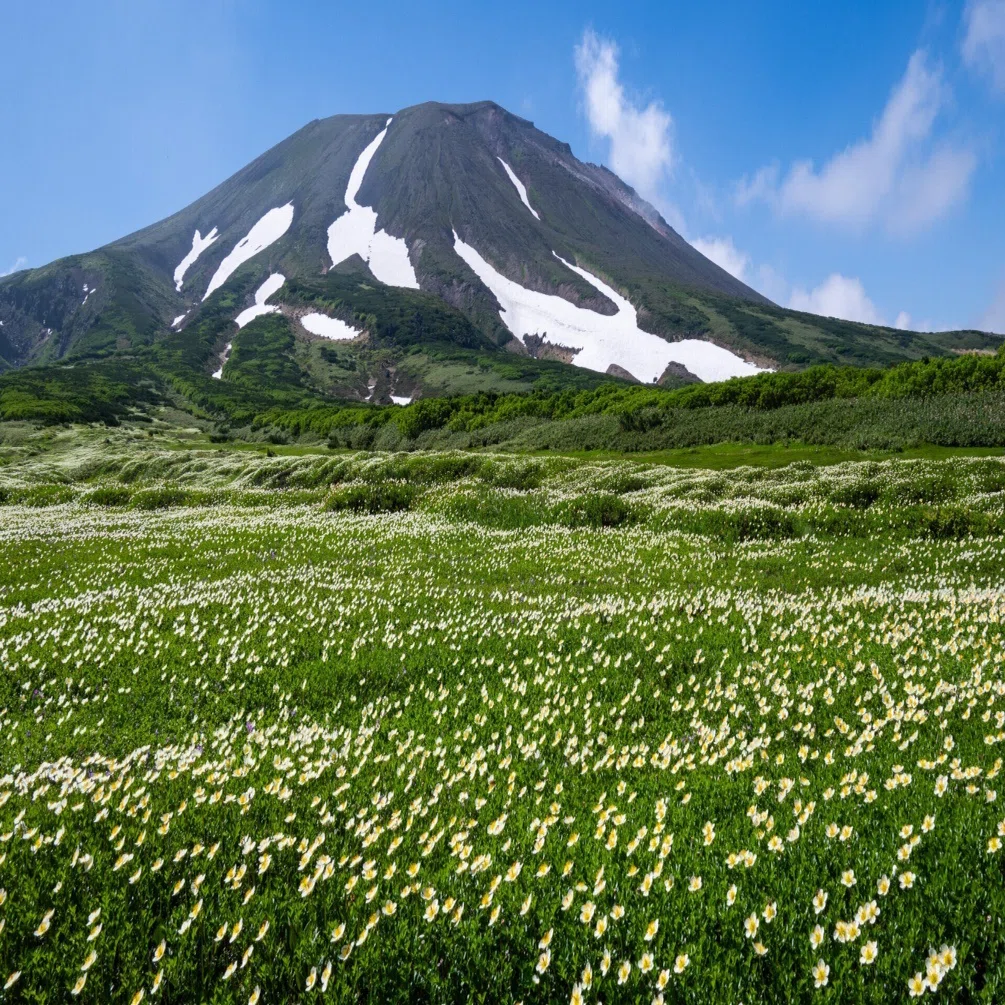 駆け抜ける北海道の夏｜koves