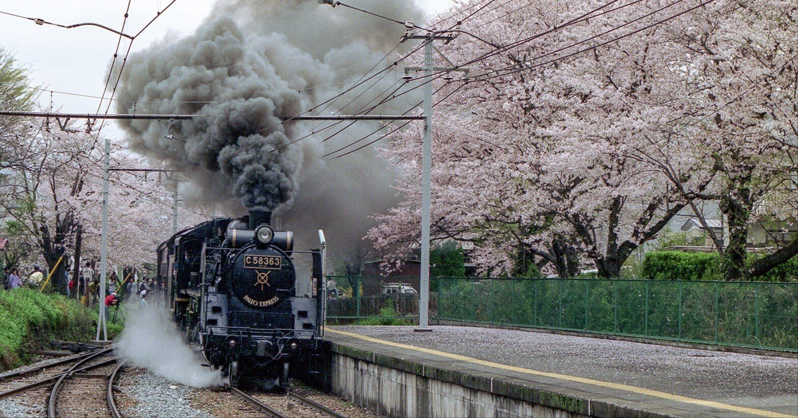 v102, 秩父鉄道：パレオエクスプレス-桜 （1991年）｜ひろやん