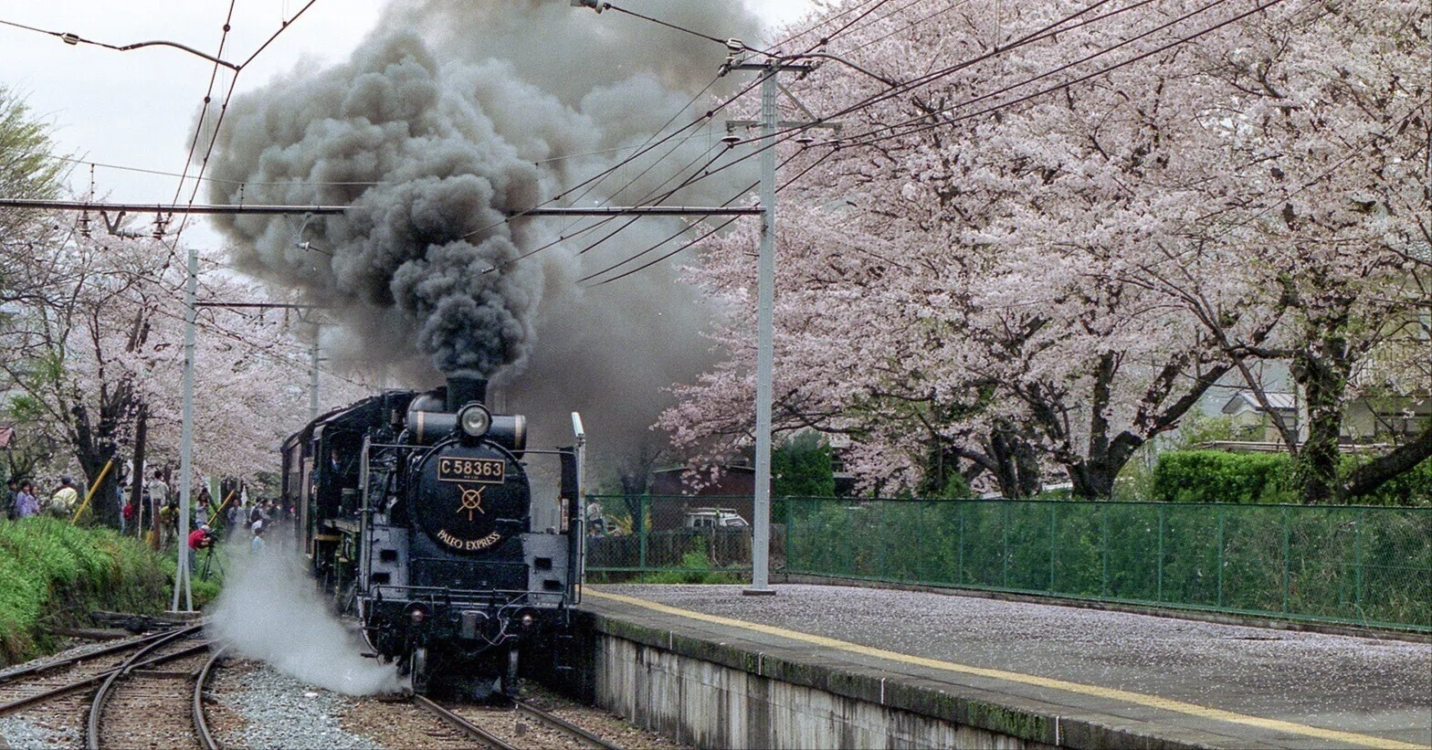 v102, 秩父鉄道：パレオエクスプレス-桜 （1991年）｜ひろやん