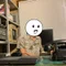 本音さん