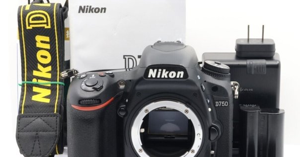 ⭐️ショット数なんと9500回⭐️Nikon D50 動作良好 おすすめ一眼レフ ⭐️ショット数なんと9500回⭐️Nikon D50 動作良好 おすすめ