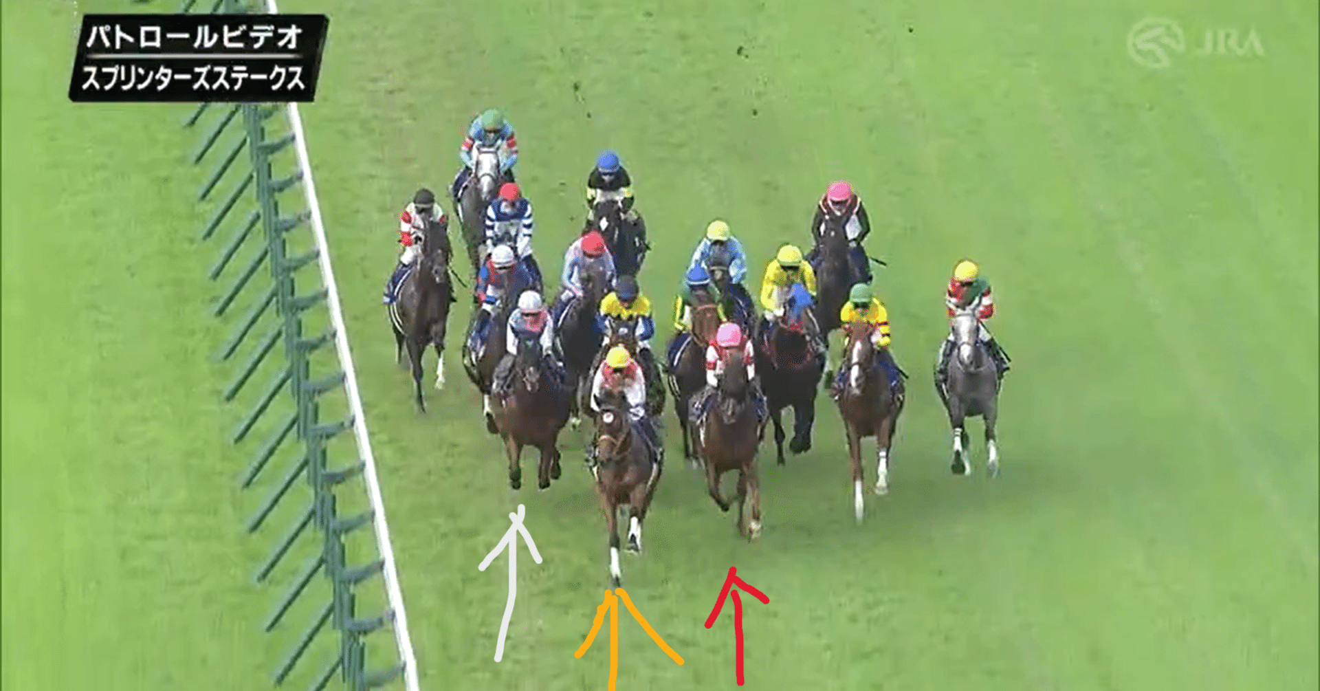 25年スプリンターズSを振り返る～『静電気戦』を生んだスタートと枠運