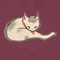 お江戸隠居猫 お玉のにゃんとも江戸話
