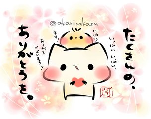 ペンギンの求愛行動が可愛すぎるお話です 灯さかす Note ペンギンの求愛行動が可愛すぎるお話です 灯さかす Note