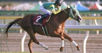 スーパーG2毎日王冠 1998年第49回は伝説のレース｜BRIANMARINOS