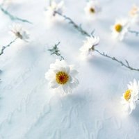 サラリーマンの あるある がいっぱい 広報室沈黙す 192 Mame Note