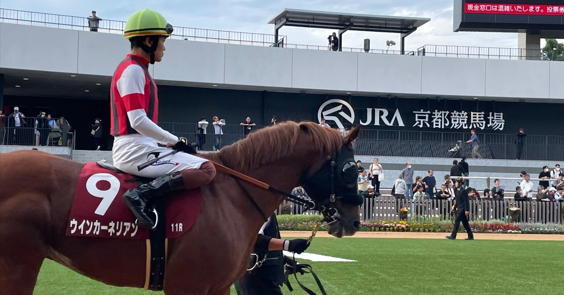 ウインカーネリアン スプリンターズステークス 現地的中単勝馬券 Yahoo 
